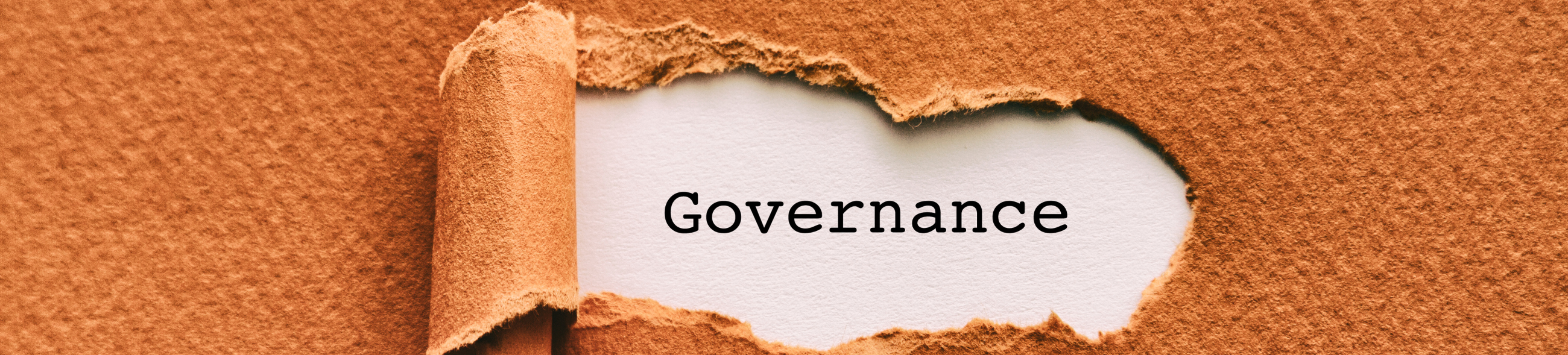 Governance